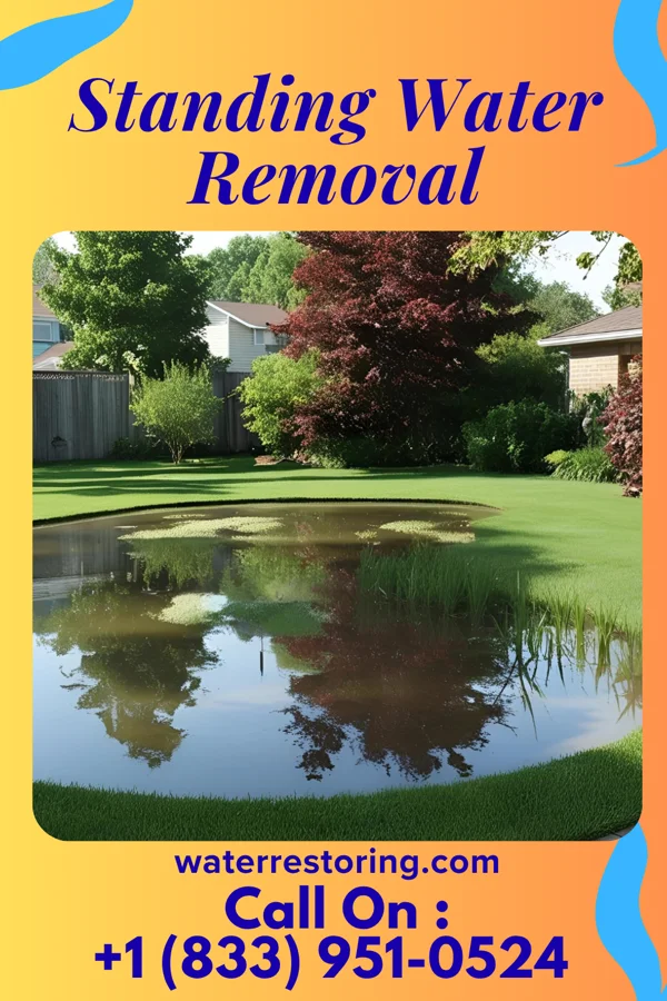 Standing Water Removal in Lake Mills, WI